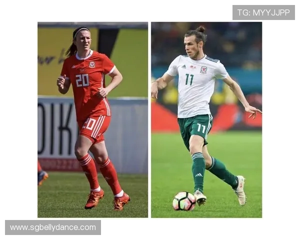 威尔士足协新名将以文化传承为中心